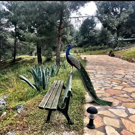 Holiday home Excellent Home With Shared Pool Surrounded By Nature In Marmaris *