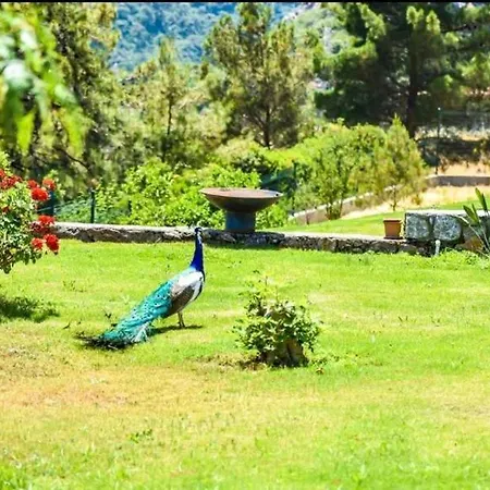 Excellent Home With Shared Pool Surrounded By Nature In Marmaris * Mugla